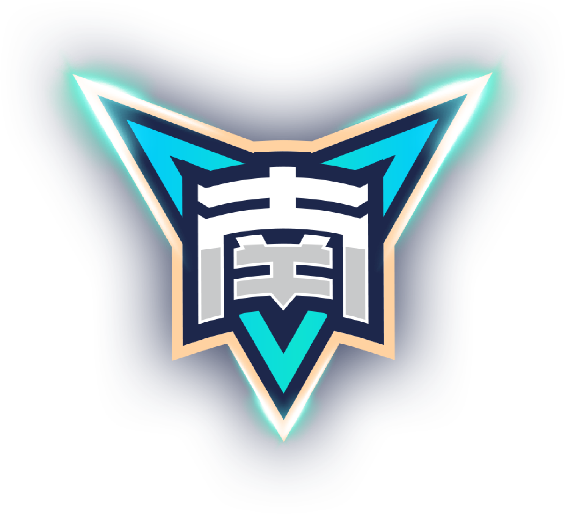 多伦多FC